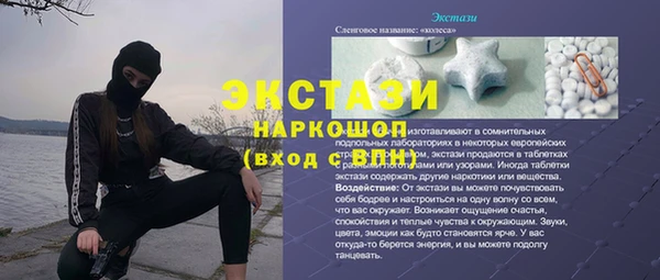 хмурый Гусь-Хрустальный