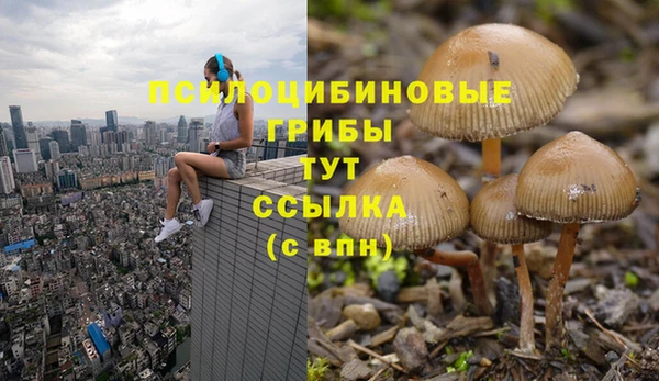 скорость Ростов