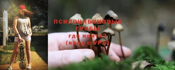 прущие грибы Коряжма