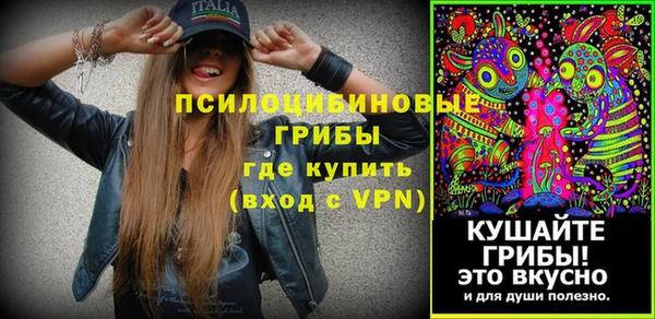 гидра Костерёво