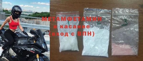 прущие грибы Грязовец